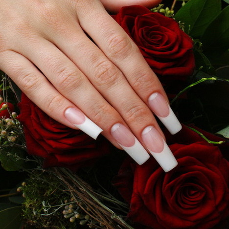 Molly-szepsegstudio-mukorom-epites